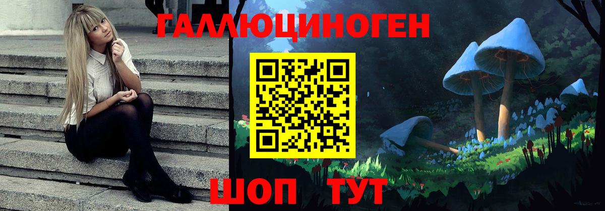 Галлюциногенные грибы MAGIC MUSHROOMS Курганинск